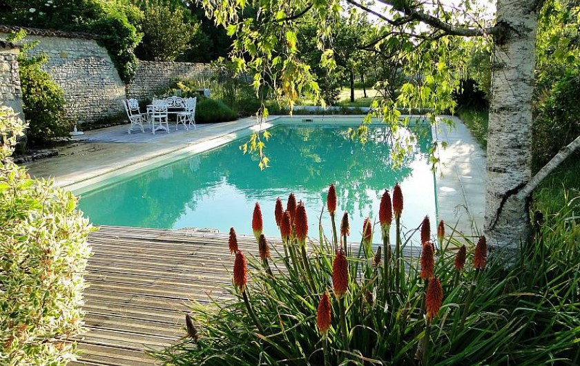 Location de vacances - Chambre d'hôtes à Andilly - la piscine au sein du jardin paysager : un havre de paix,