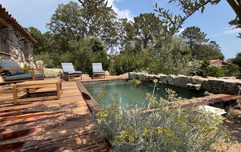 Location de vacances - Villa à Sotta