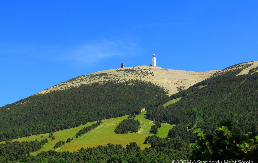 Location de vacances - Mas à Chantemerle-lès-Grignan - le Mont Ventoux