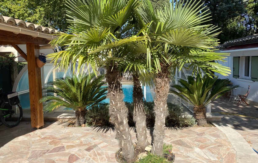 Location de vacances - Villa à Uzès - Studio face à la piscine