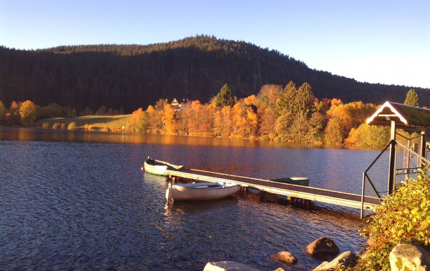 Location de vacances - Appartement à Gérardmer - lac de Gerardmer en automne