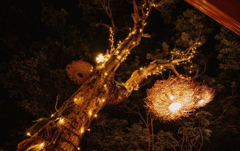 Location de vacances - Cabane dans les arbres à Deshaies - Arbre étoilé Cabane aux Etoiles