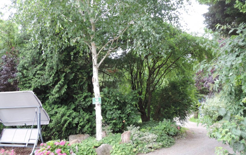 Location de vacances - Gîte à Lontzen - Une partie du jardin