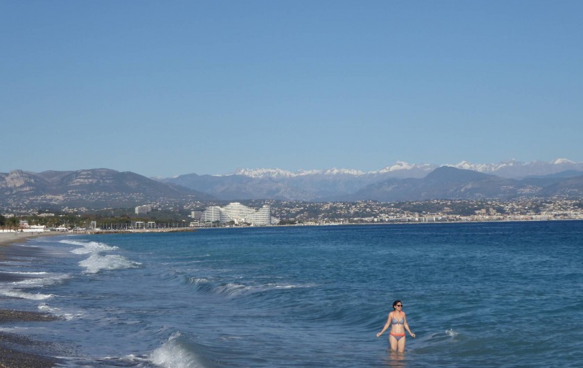 Location de vacances - Appartement à Antibes - Baignade en Novembre ! Jolie vue de la montagne depuis la plage à 10mn à pied