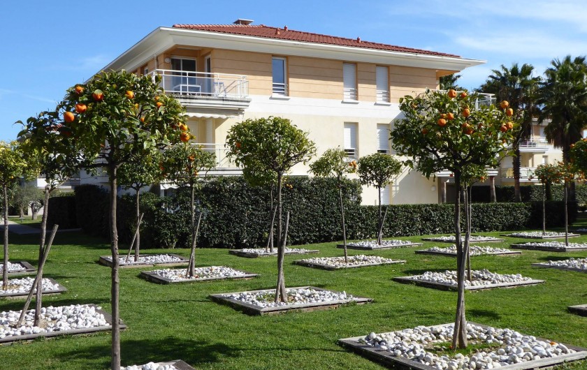 Location de vacances - Appartement à Antibes - L'appartement donne sur ce jardin d'orangers