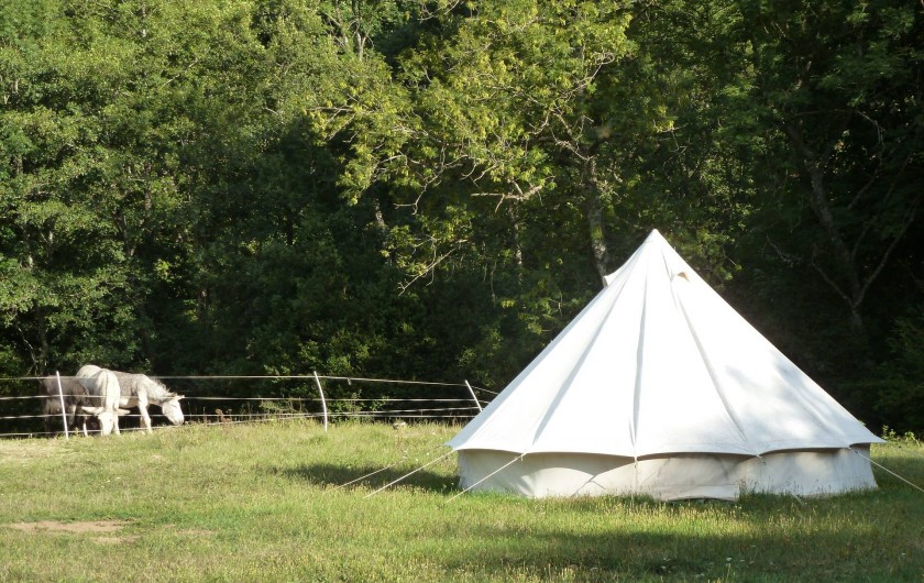 Location de vacances - Camping à Meyrueis - une tente ,avec les ânes au fond ,curieux ,qui viennent voir