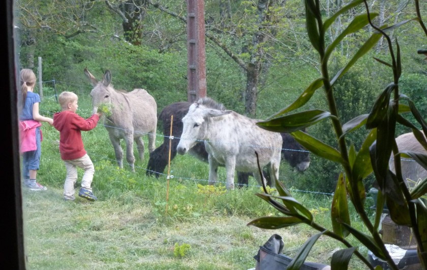 Location de vacances - Camping à Meyrueis - nous organisons des randos avec nos ânes:  journée ou plusieurs jours
