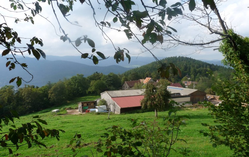 Location de vacances - Gîte à Breitenbach-Haut-Rhin - Petit hameau d'une vingtaine d'habitants