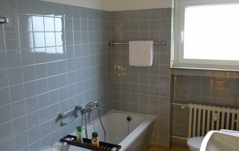 Location de vacances - Appartement à Linz - Salle de bain Avec baihnoire, douche, WC et lavabo