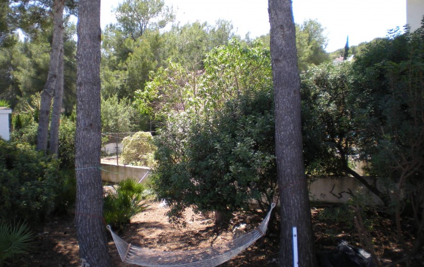 Location de vacances - Villa à Xàbia - fraicheur sous les pins
