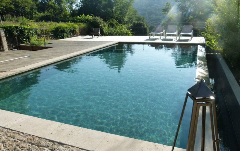 Location de vacances - Chambre d'hôtes à La Garde-Freinet - piscine en pleine nature