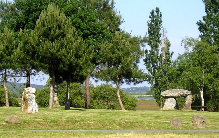 Location de vacances - Gîte à Béganne - Loisir: Site gallo-romains du Rohello (pique-nique possible)