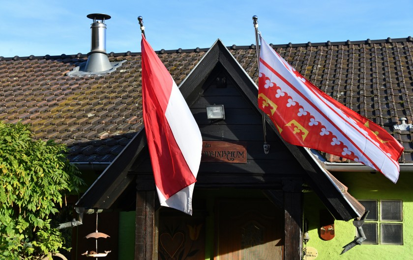 Location de vacances - Gîte à Bergheim