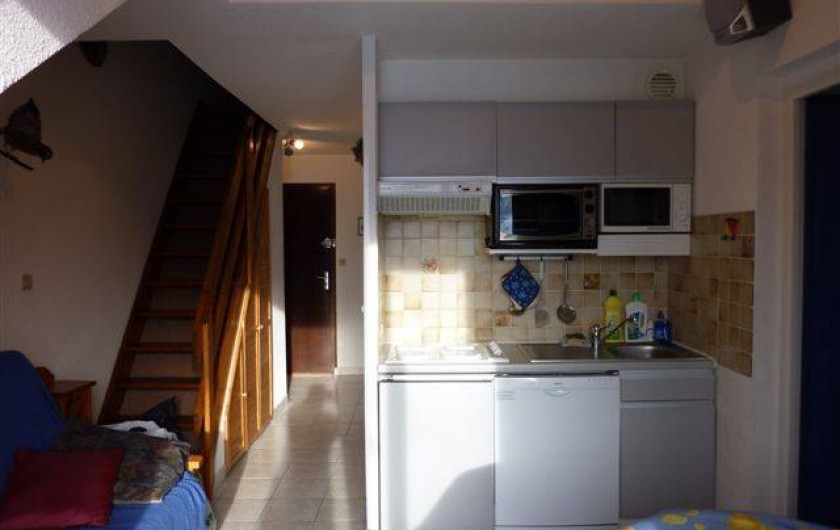 Location de vacances - Appartement à Saint-Sorlin-d'Arves - plaque induction, LV, micro O, mini four, réfrigérateur, congél