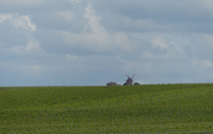 Location de vacances - Studio à Ludes