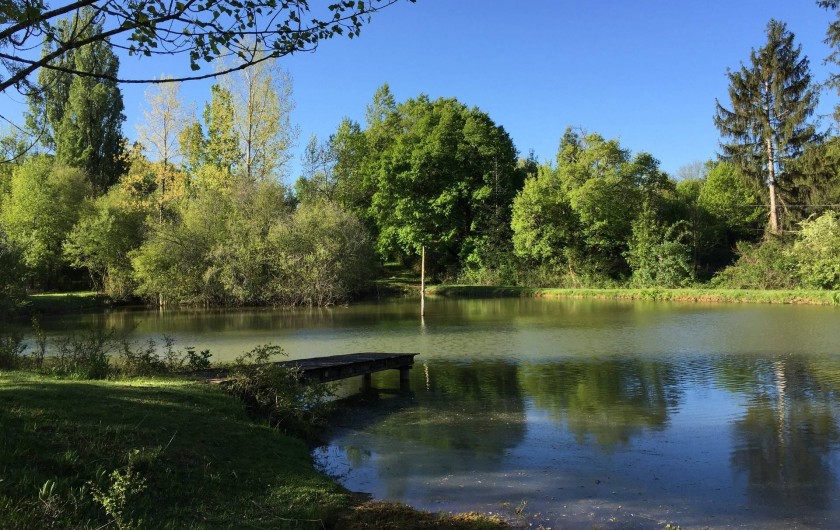 Location de vacances - Maison - Villa à Payrac - L'étang du Colombié (à 100 m de al maison OWI)