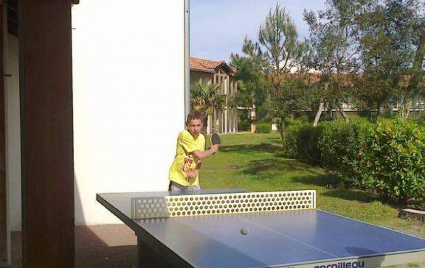 Location de vacances - Chalet à Ondres - Ping-pong
