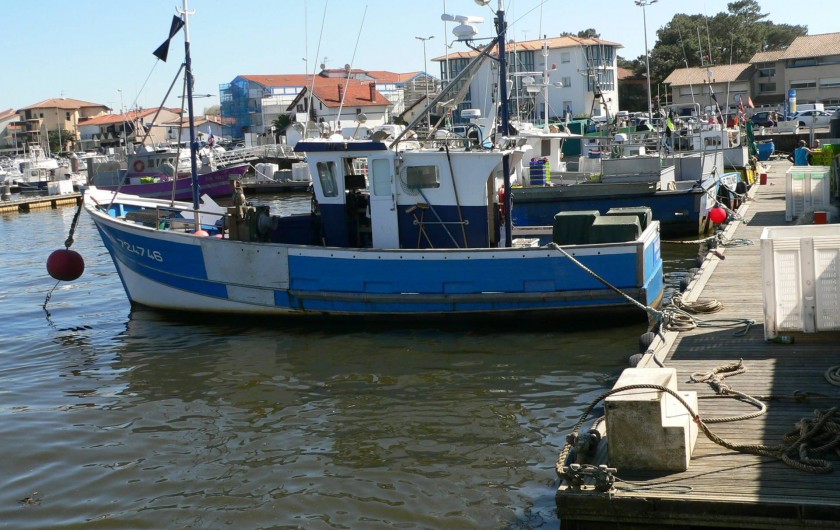Location de vacances - Chalet à Ondres - Port de pêche de Capbreton. Vente direct sur le port tous les jours vers 16h