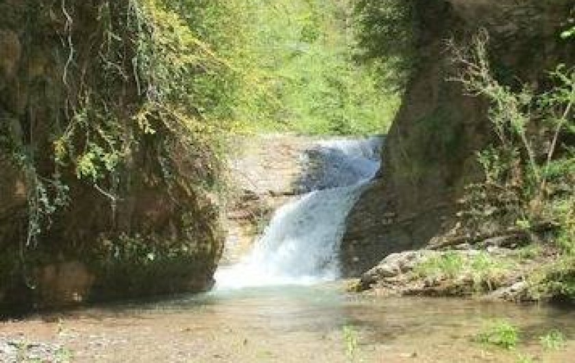 Location de vacances - Gîte à Sant Joan de les Abadesses - Terrain cascade