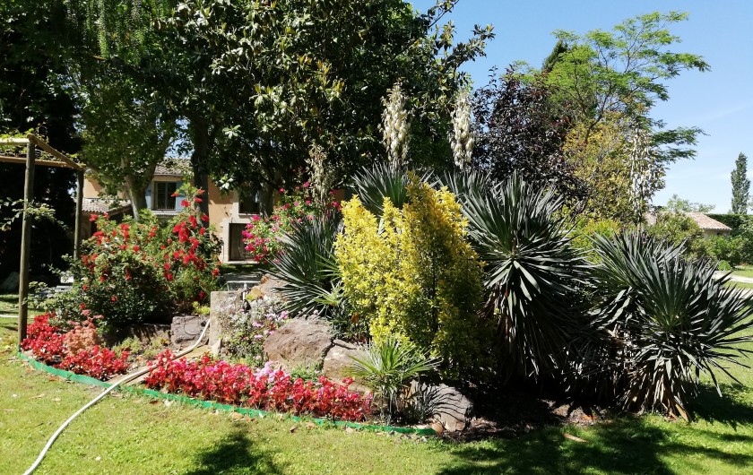 Location de vacances - Gîte à Le Thor