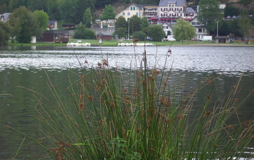 Location de vacances - Hôtel - Auberge à Chambon-sur-Lac - l'hotel face au lac
