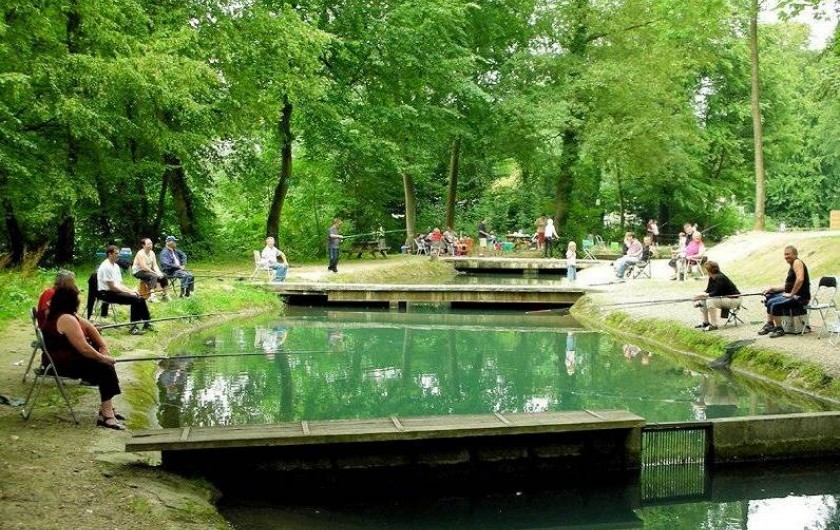 Location de vacances - Camping à Warlincourt-lès-Pas - les étangs privés de pêche à la truite