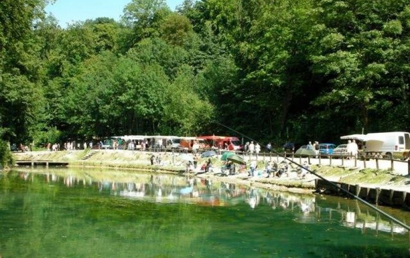 Location de vacances - Camping à Warlincourt-lès-Pas - L'étang commun à truites