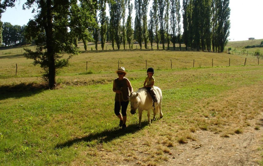 Location de vacances - Gîte à Saint-Agne - Centre équestre et poneyx à la Métaierie du Roc à Faux 5 kms