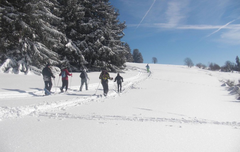 Location de vacances - Chalet à Le Tholy - Raquettes à neige à partir du chalet
