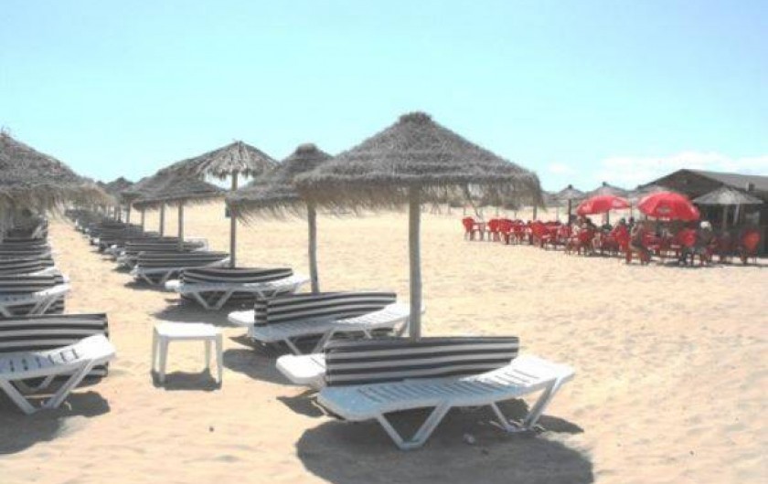Location de vacances - Chalet à Alicante - Plage