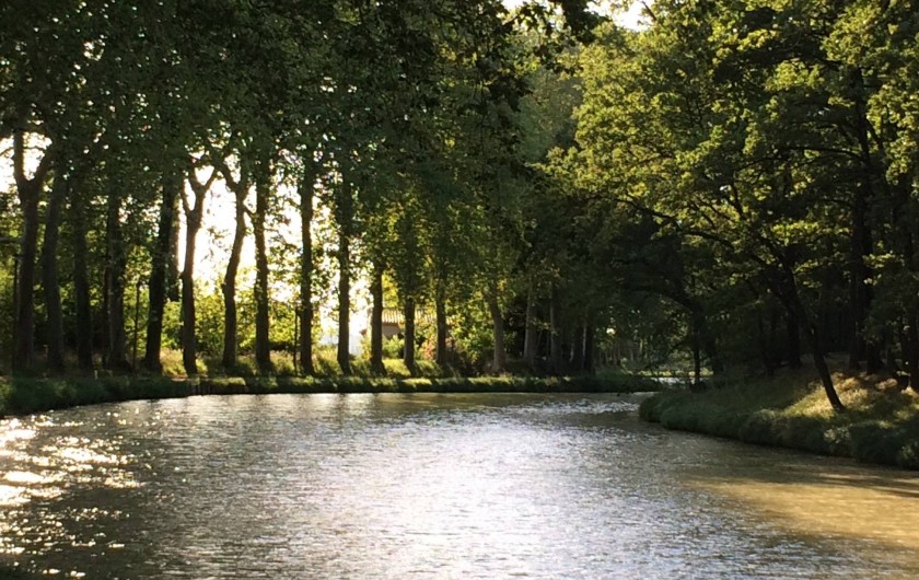 Location de vacances - Appartement à Lagrasse - Canal du Midi