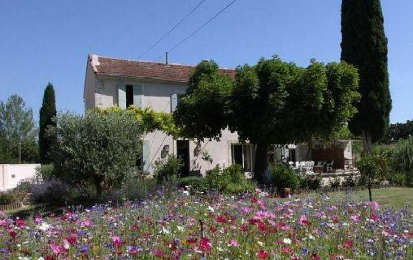 Location de vacances - Mas à Saint-Rémy-de-Provence - Verdure et fleurs