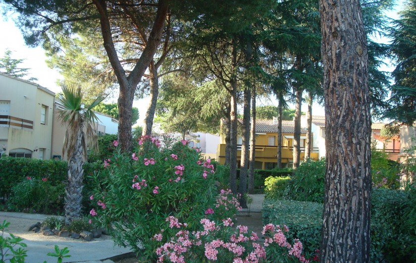 Location de vacances - Appartement à Le Cap d'Agde - Jardin de la résidence