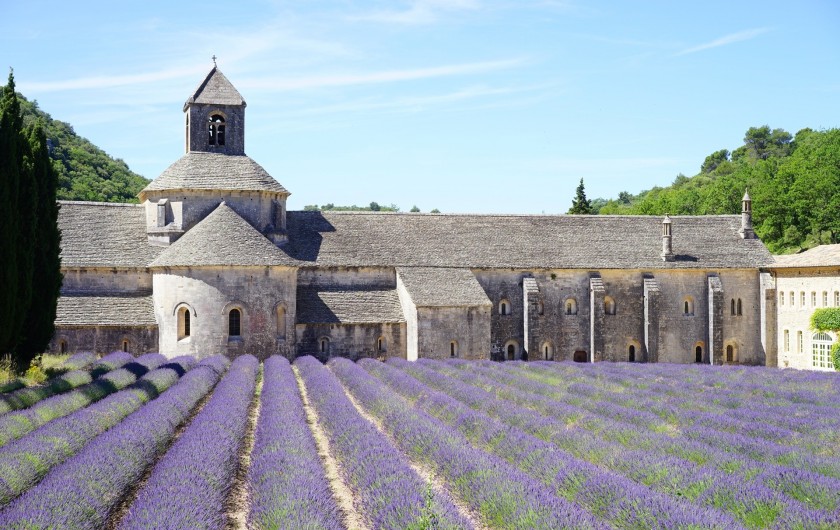 Location de vacances - Mas à Villelaure - L'abbaye de Sénanque (1 heure de route de la ferme)