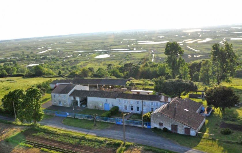 Location de vacances - Gîte à La Gripperie-Saint-Symphorien - Domaine Beaulieu