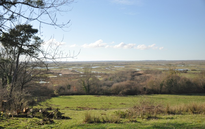 Location de vacances - Gîte à La Gripperie-Saint-Symphorien - Vue panoramique marais de Brouage