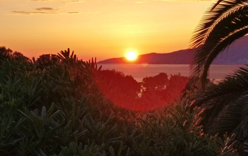 Location de vacances - Villa à Porticcio - Coucher de soleil exceptionnel sur les îles sanguinaires en soirée