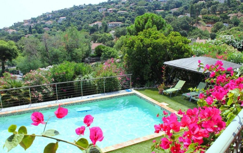 Location de vacances - Villa à Cavalaire-sur-Mer - Vue du 1er étage sur la piscine et les collines environnantes