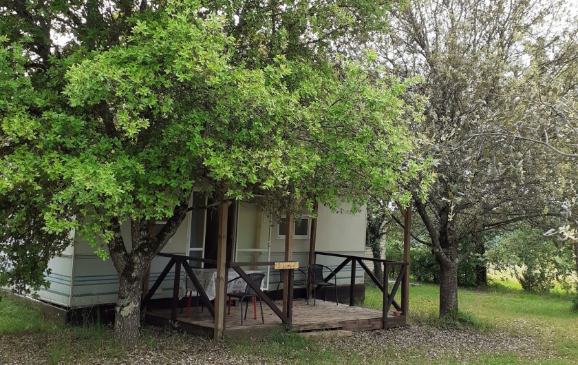 Location de vacances - Bungalow - Mobilhome à Le Buisson-de-Cadouin - Bingalow trés ombragé au milieu de chênes truffiers