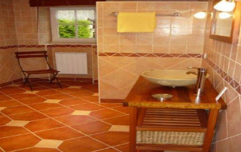 Location de vacances - Maison - Villa à Draché - Salle de bain: lave-linge, sèche-serviette, douche multi-jets, linge toillette