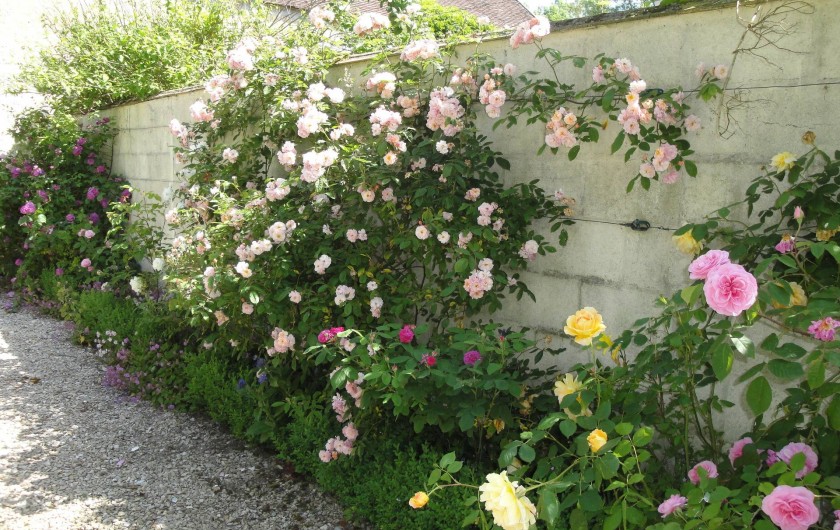 Location de vacances - Chambre d'hôtes à Saint-Loup-de-Naud - Chemin de roses