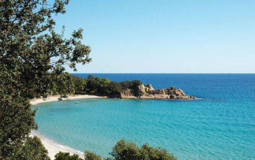 Location de vacances - Villa à Sainte-Lucie de Porto-Vecchio - Magnifique plage de sable proche de la résidence