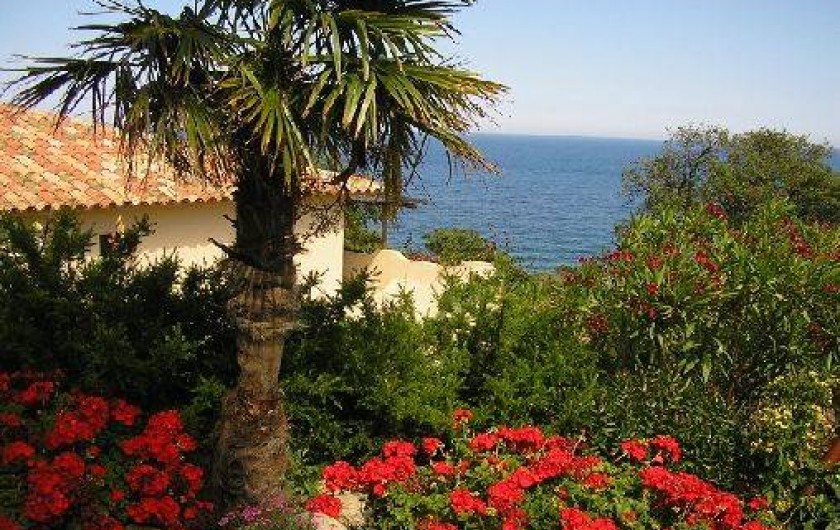 Location de vacances - Villa à Sainte-Lucie de Porto-Vecchio - villa arborée et fleurie jardin méditerranéen