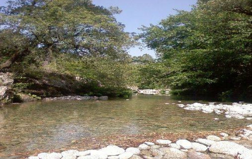 Location de vacances - Chalet à Orto - baignade en rivière à 10mn