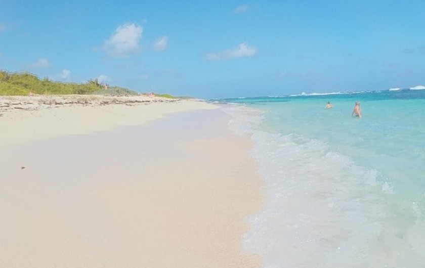 Location de vacances - Villa à Saint-François - Plage des Salines sur la Pointe des châteaux