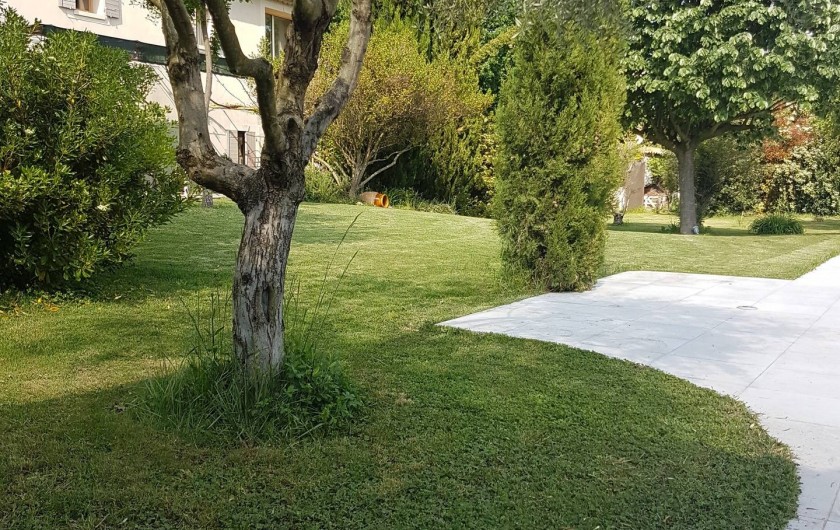 Location de vacances - Mas à L'Isle-sur-la-Sorgue