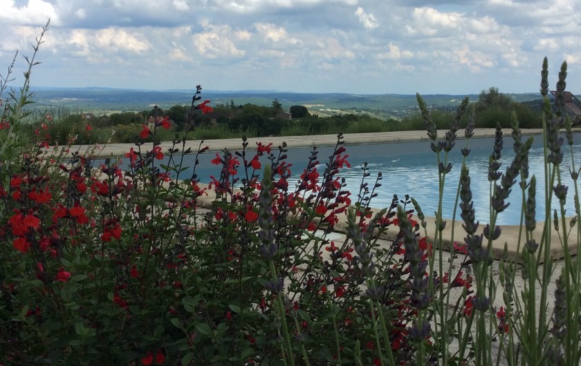 Location de vacances - Gîte à Saint-Projet - vue piscine