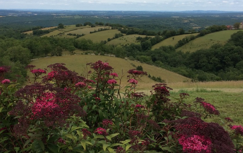 Location de vacances - Gîte à Saint-Projet - vue terrasse