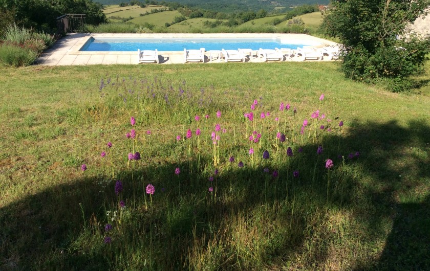 Location de vacances - Gîte à Saint-Projet - piscine