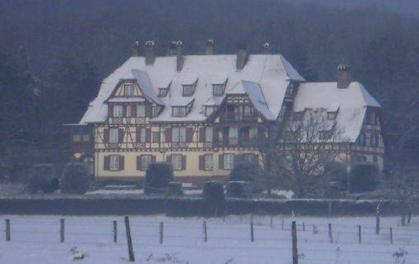 Location de vacances - Gîte à Niederbronn-les-Bains
